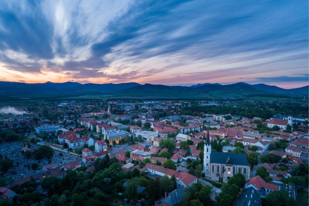 Hotel Bodrog Wellness & Elix Spa Sárospatak Buitenkant foto