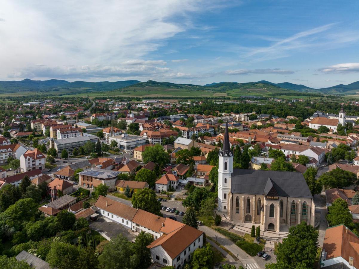 Hotel Bodrog Wellness & Elix Spa Sárospatak Buitenkant foto