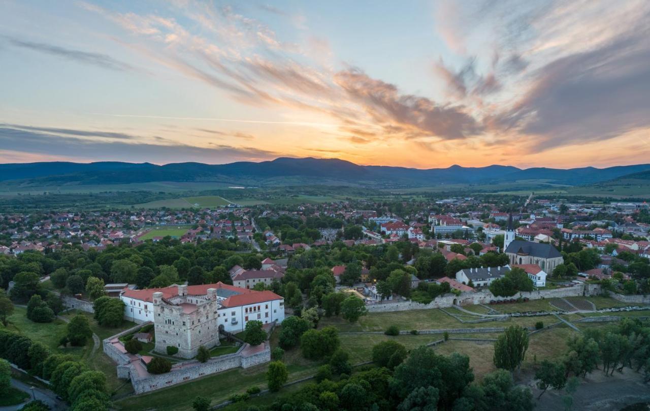 Hotel Bodrog Wellness & Elix Spa Sárospatak Buitenkant foto