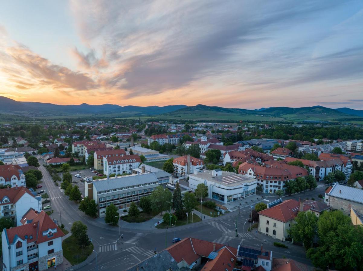 Hotel Bodrog Wellness & Elix Spa Sárospatak Buitenkant foto