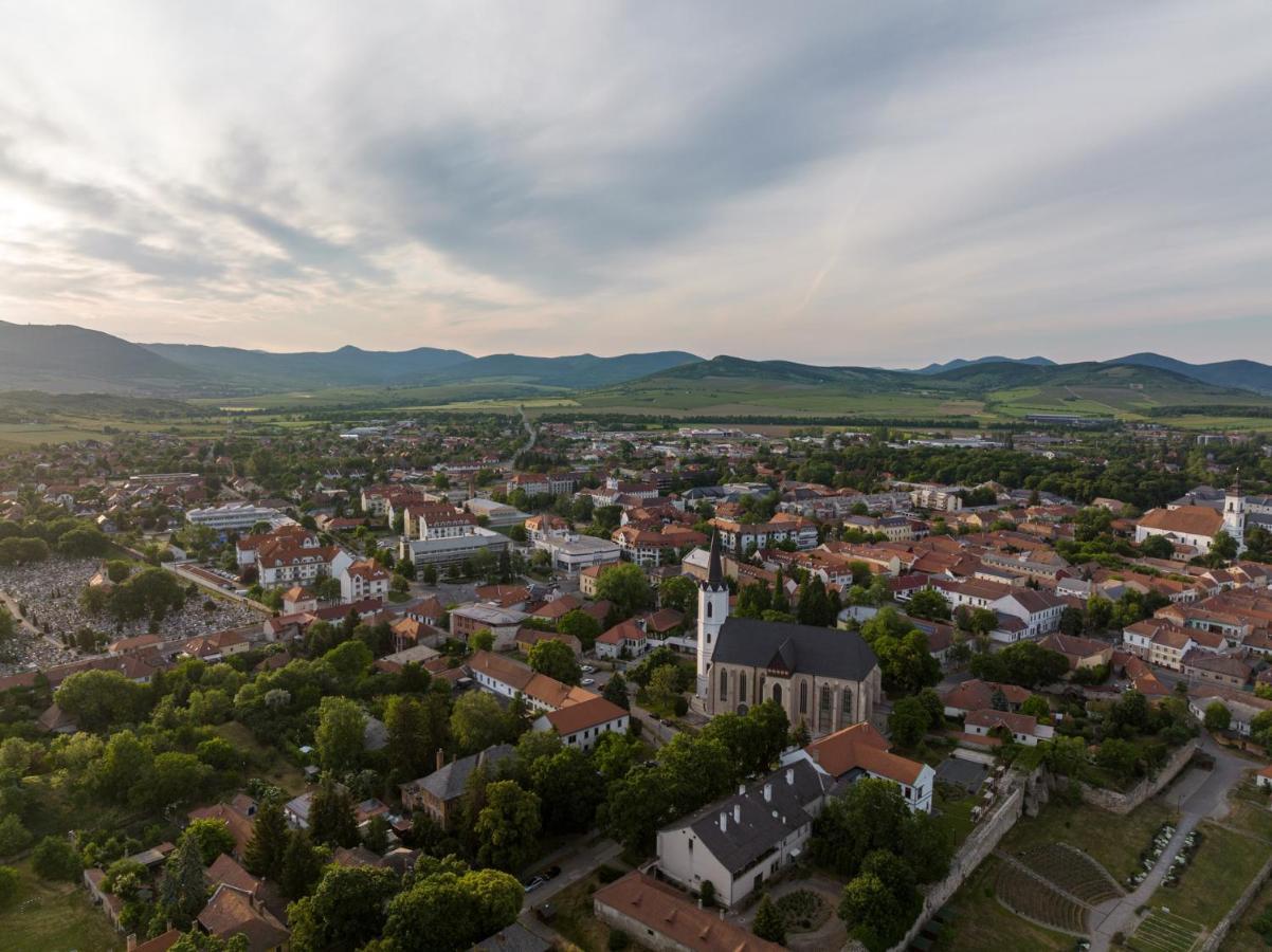 Hotel Bodrog Wellness & Elix Spa Sárospatak Buitenkant foto