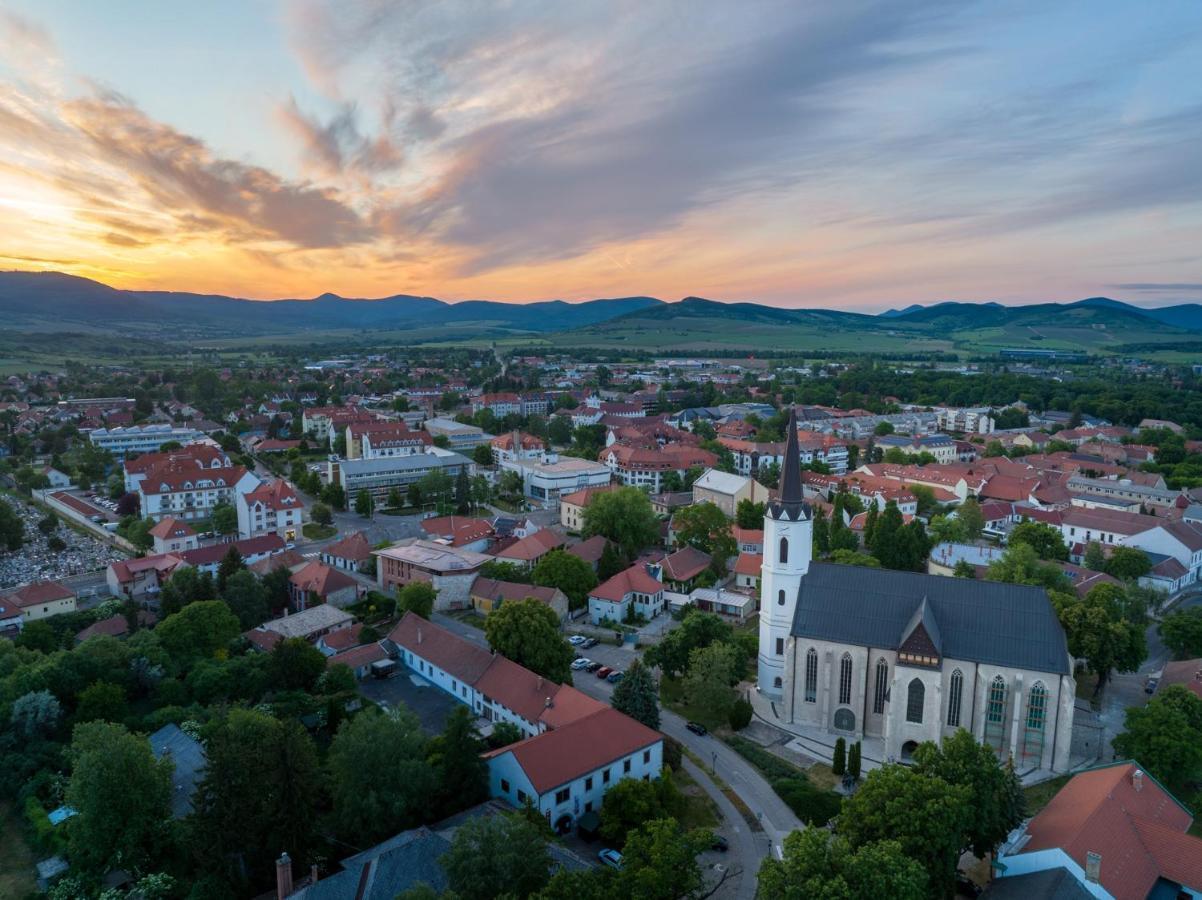 Hotel Bodrog Wellness & Elix Spa Sárospatak Buitenkant foto