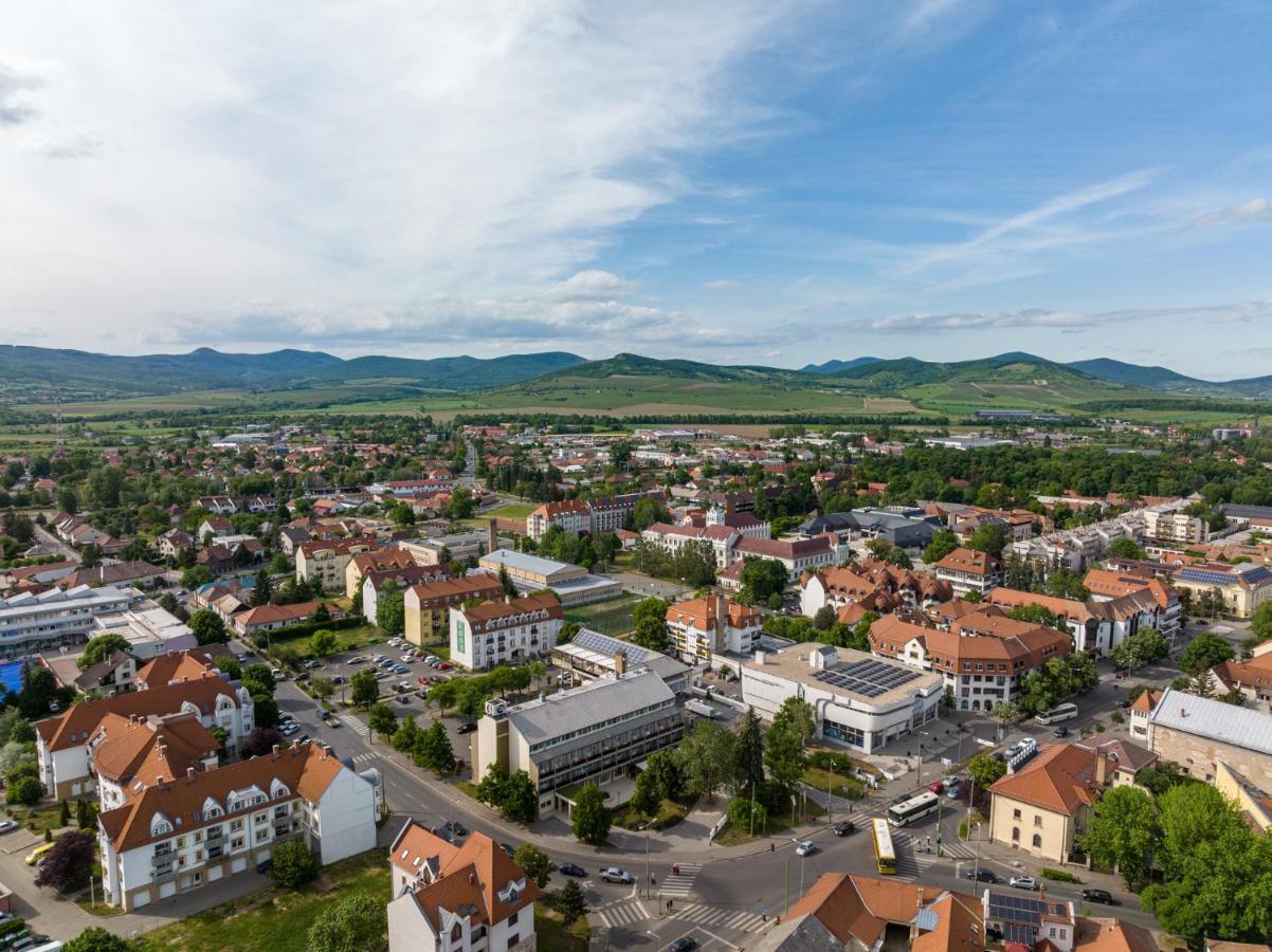 Hotel Bodrog Wellness & Elix Spa Sárospatak Buitenkant foto